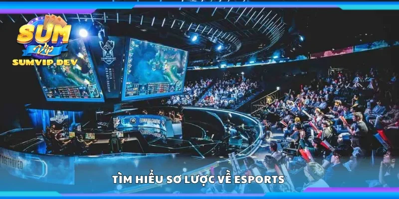Tìm hiểu sơ lược về Esports 
