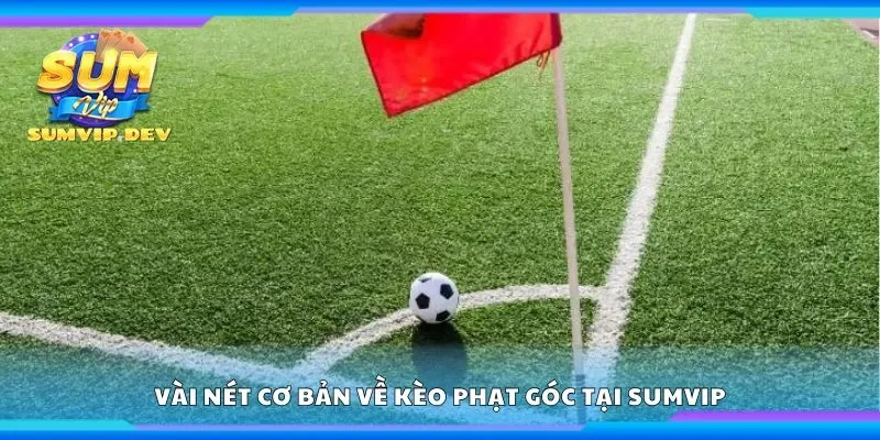 Vài nét cơ bản về kèo phạt góc tại Sumvip