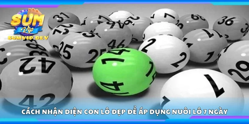 Cách nhận diện con lô đẹp để áp dụng nuôi lô 7 ngày