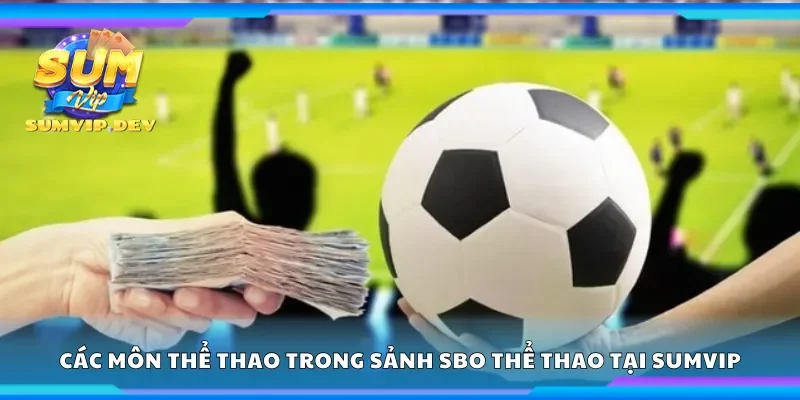 Các môn thể thao trong sảnh Sbo thể thao tại Sumvip